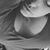 Kelsey Shepard's profile image