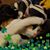 Heather Slone's profile image