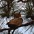 Paulette Tyson Burgess's profile image