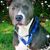 Francine Giles-Clark's profile image