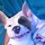 Merritt Graham's profile image