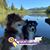 Leslie J. Fassio's profile image