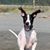 Liz Parmer's profile image