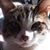 Debbie Leavins's profile image