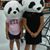 Vanessa Alarcon's profile image