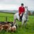 David McMurray's profile image