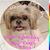 Sandy Beach's profile image