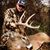 Jacob Kesler's profile image