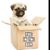 Cyndy Chase's profile image