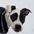 Paula Jean Davis's profile image