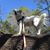 Susan Anne Wilson's profile image