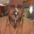 Dodd Stretch's profile image