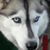 Katy Henze's profile image