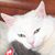 Joanne Christopher's profile image