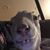 ScottandSusan T.'s profile image