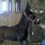 Jeremy Miller's profile image
