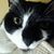 Pauline Rai Artwork's profile image