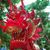 Patricia Schroder's profile image