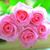 Diane Cretella Richardson's profile image