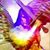 Dominica Matos's profile image