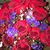 Amanda Clark's profile image