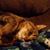 Dawn Geiger's profile image