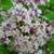 Carol Gramling's profile image