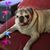 Christina Villacres Cofield's profile image