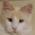 FrediCat Williams's profile image
