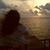 Sandy Starlings's profile image