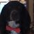 Angela Watts Estes's profile image