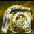 Miriam Munoz's profile image