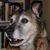Wendy Wendy-Eleni's profile image
