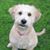 Linda Gelb's profile image