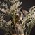 Gina M Kurtz's profile image