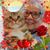 Marjorie Berger's profile image