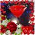 Alice Marie Claiborne's profile image