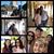 Patricia Lopez Loza's profile image