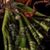 Cheryl Reandeau's profile image