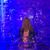 Jacqueline Stine Berggren's profile image