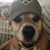 James Parris's profile image