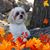 Connie Rae C. Clark's profile image