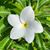 Jennifer Burns Burdick's profile image