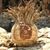 Harry Adams's profile image