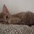Cathy McKay's profile image
