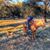 Heather Morebeck's profile image