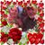Robin Wilters's profile image