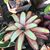 Dolrich M. Yarcia's profile image