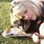 Paula Chute Morris's profile image