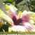 Melinda Dill's profile image